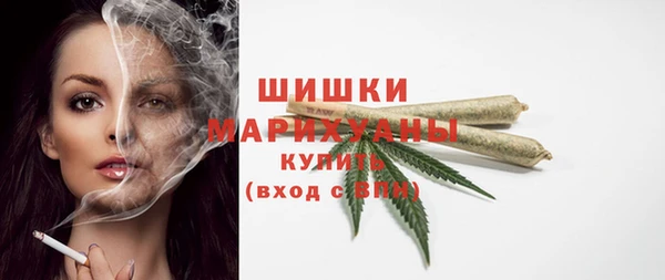 PSILOCYBIN Осинники
