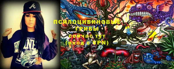 PSILOCYBIN Осинники
