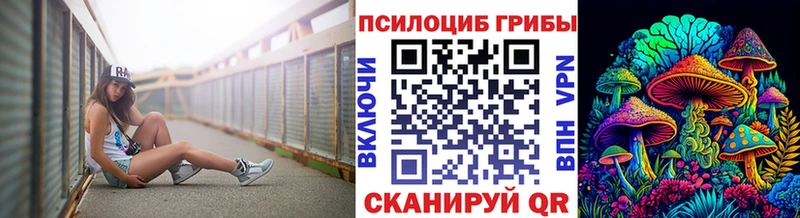Псилоцибиновые грибы Cubensis Трубчевск